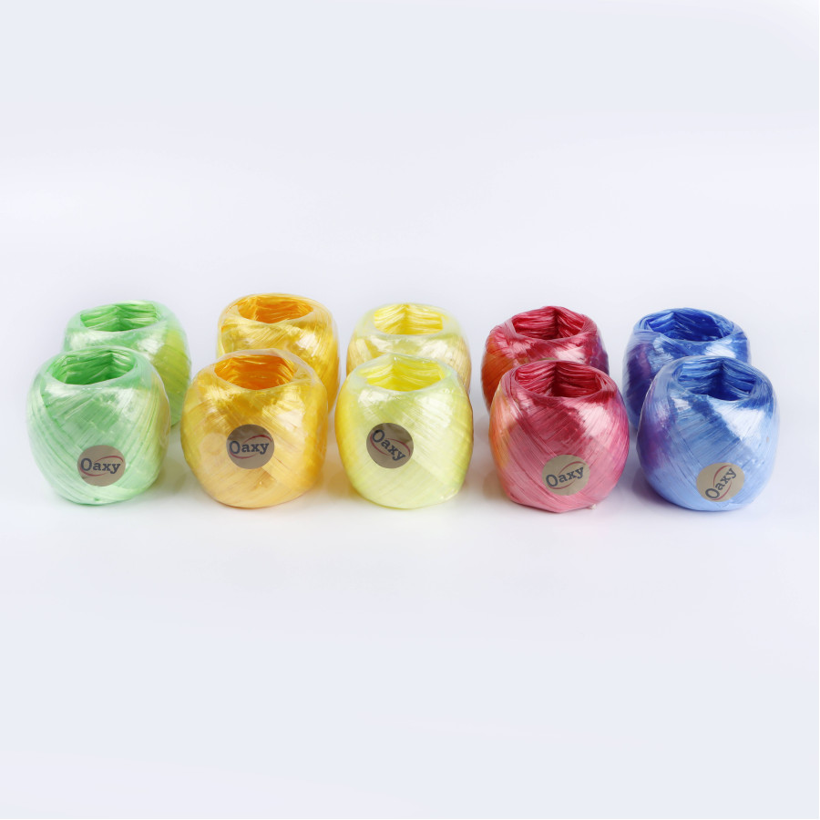 Oaxy Plastic String/Rope 40g - Pack of 10 - Multicolor